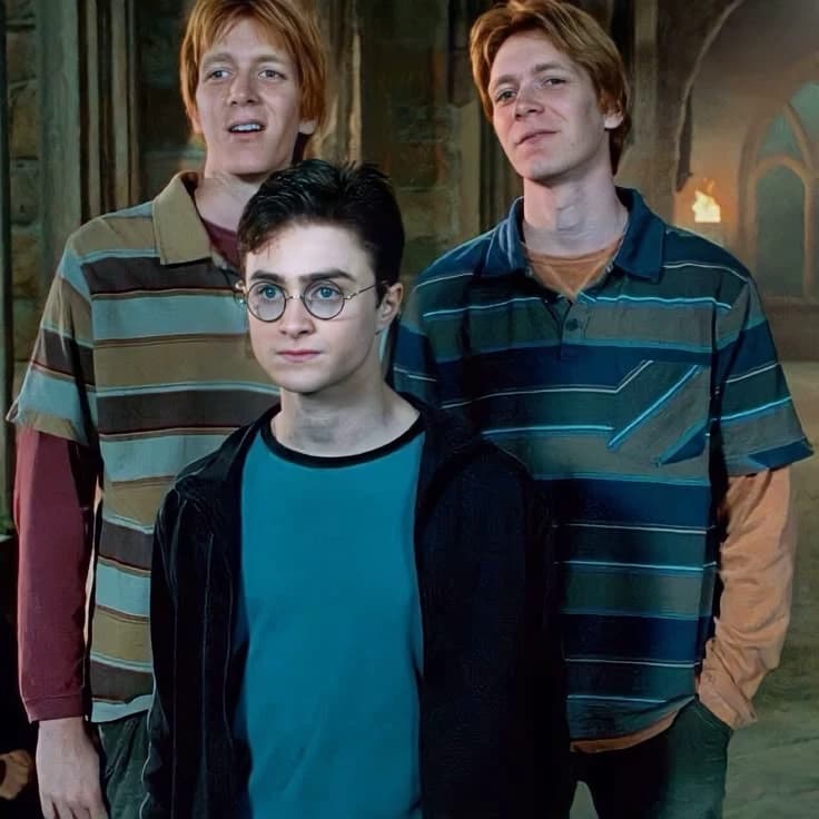 Weasley and Harry twins thumbnail