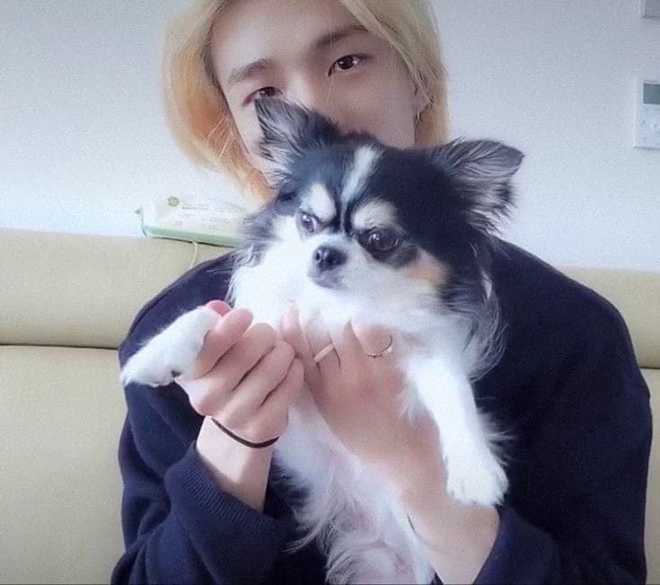 Hyunjin-Husband thumbnail
