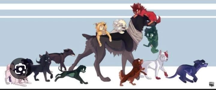 My Hero academi thumbnail