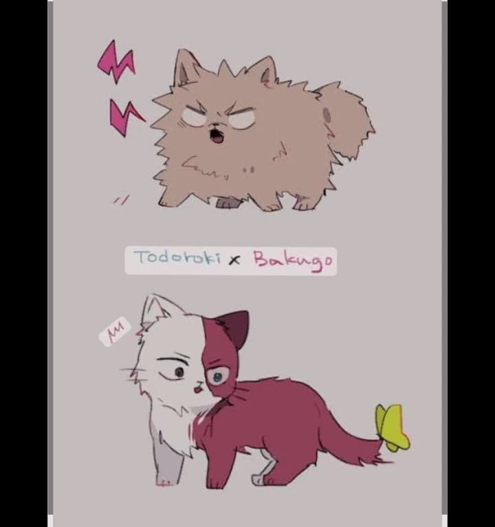 Bakugo and shoto thumbnail