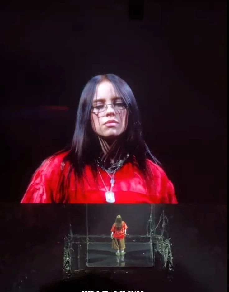 Billie Eilish Pirate Baird O'Connell  thumbnail