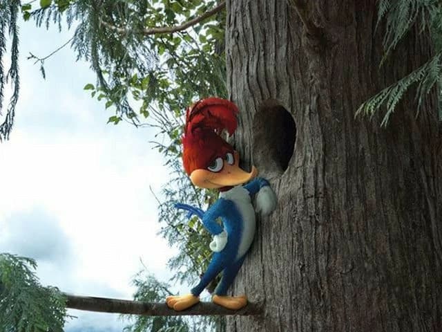 Woody woodpecker thumbnail