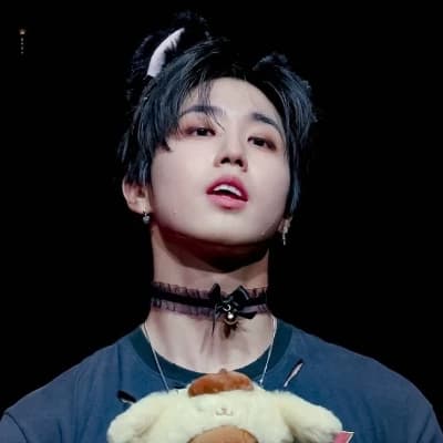 Stray Kids (Lee Minho, Lee Felix, Hwang Hyunjin, Yang Jeongin) thumbnail