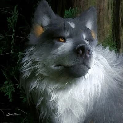 Torgal thumbnail