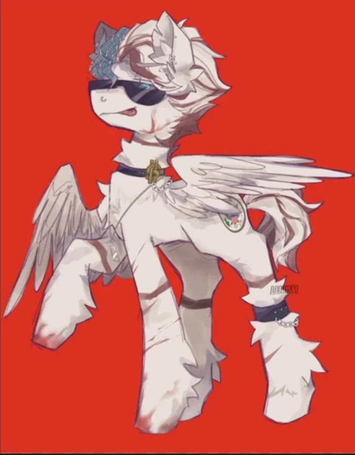 USA - Ch x Mlp thumbnail