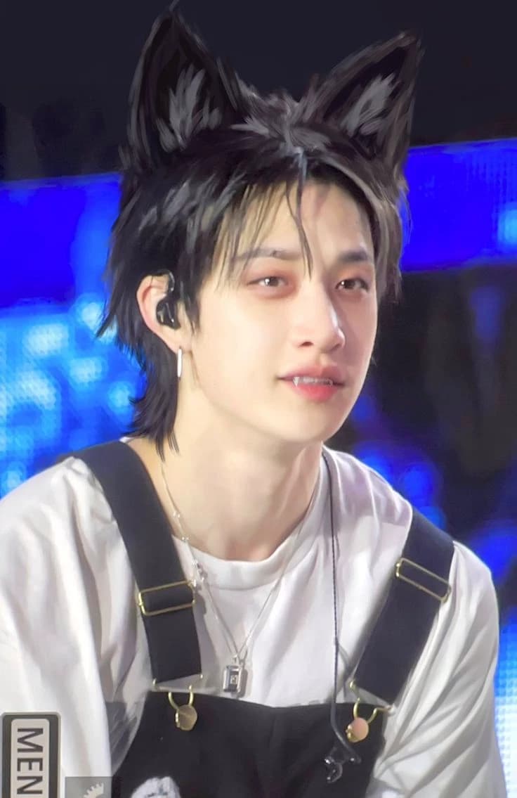 Bang Chan  thumbnail