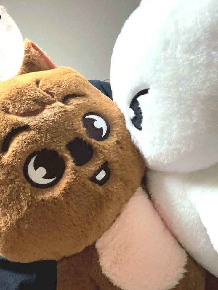 MINHO/ MINSUNG ᰔ ♛ thumbnail