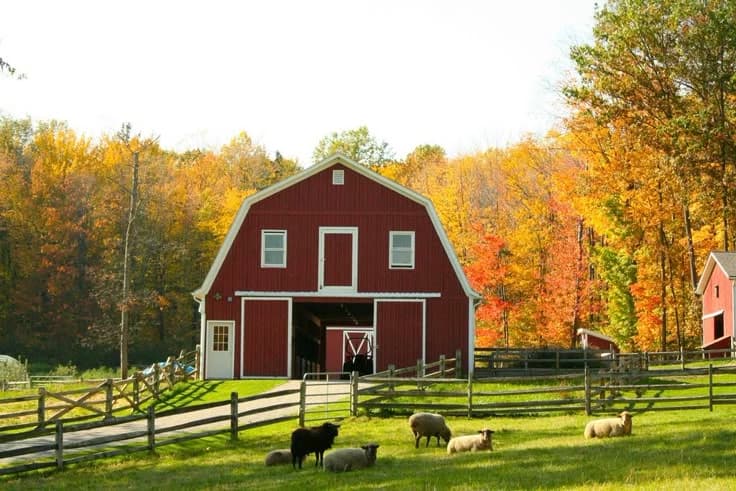 Farm Hiro's — BL!! thumbnail