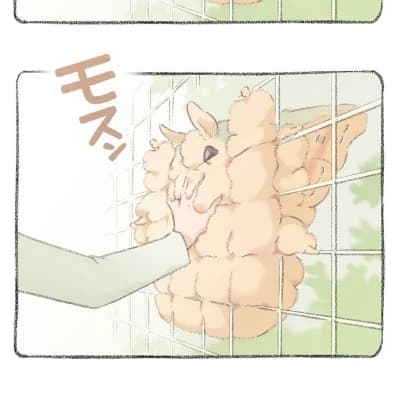 Fluffy thumbnail