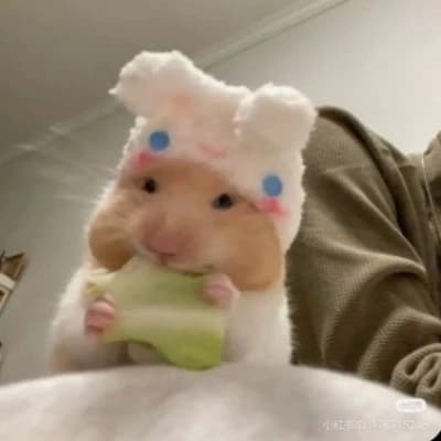 Hazel thumbnail