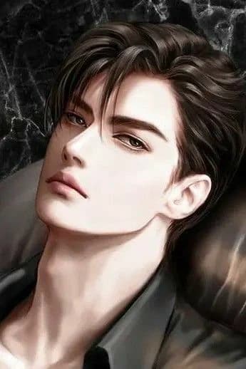 Shin thumbnail