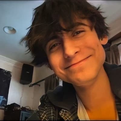 Aidan Gallagher thumbnail