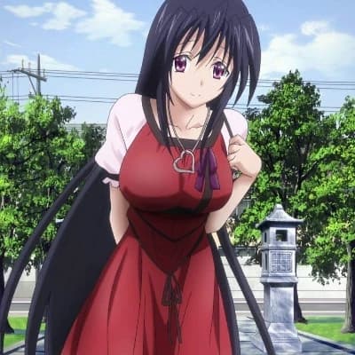 Ensemble of High School DxD Characters thumbnail