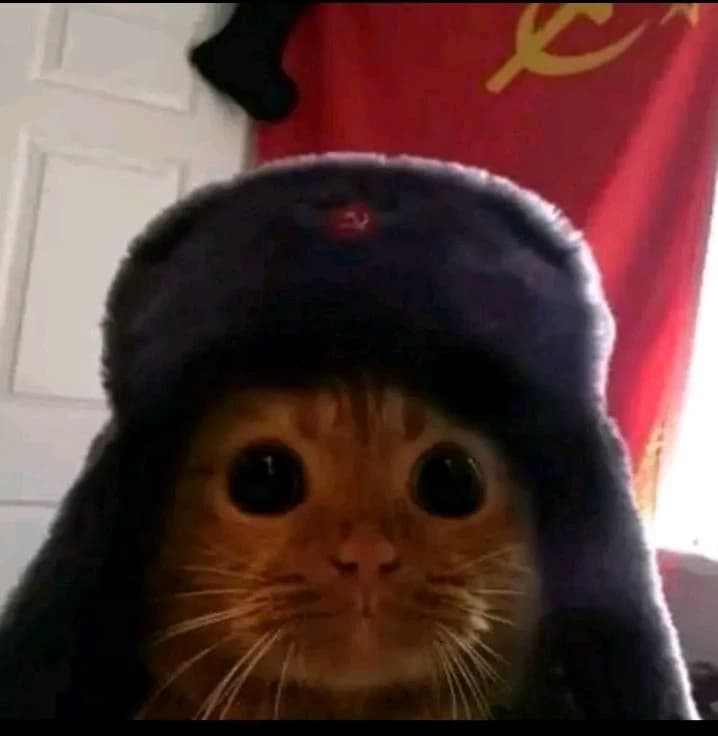 The Soviet cat thumbnail