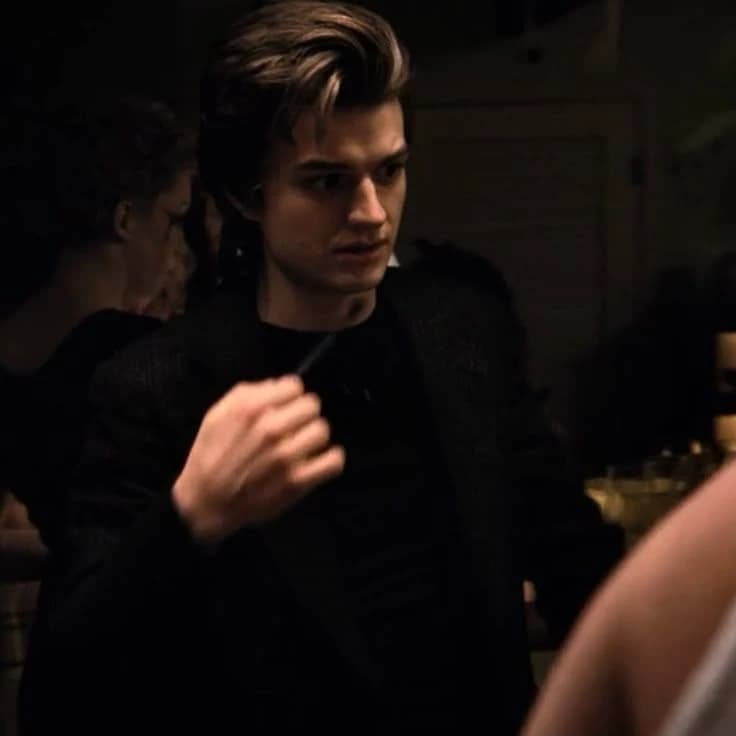 Steve Harrington thumbnail