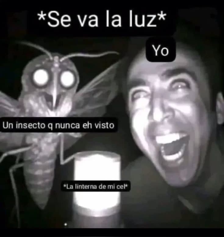 Ricardo thumbnail