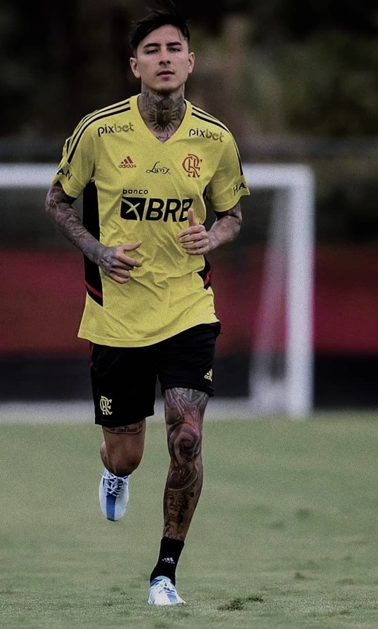 Erick Pulgar thumbnail