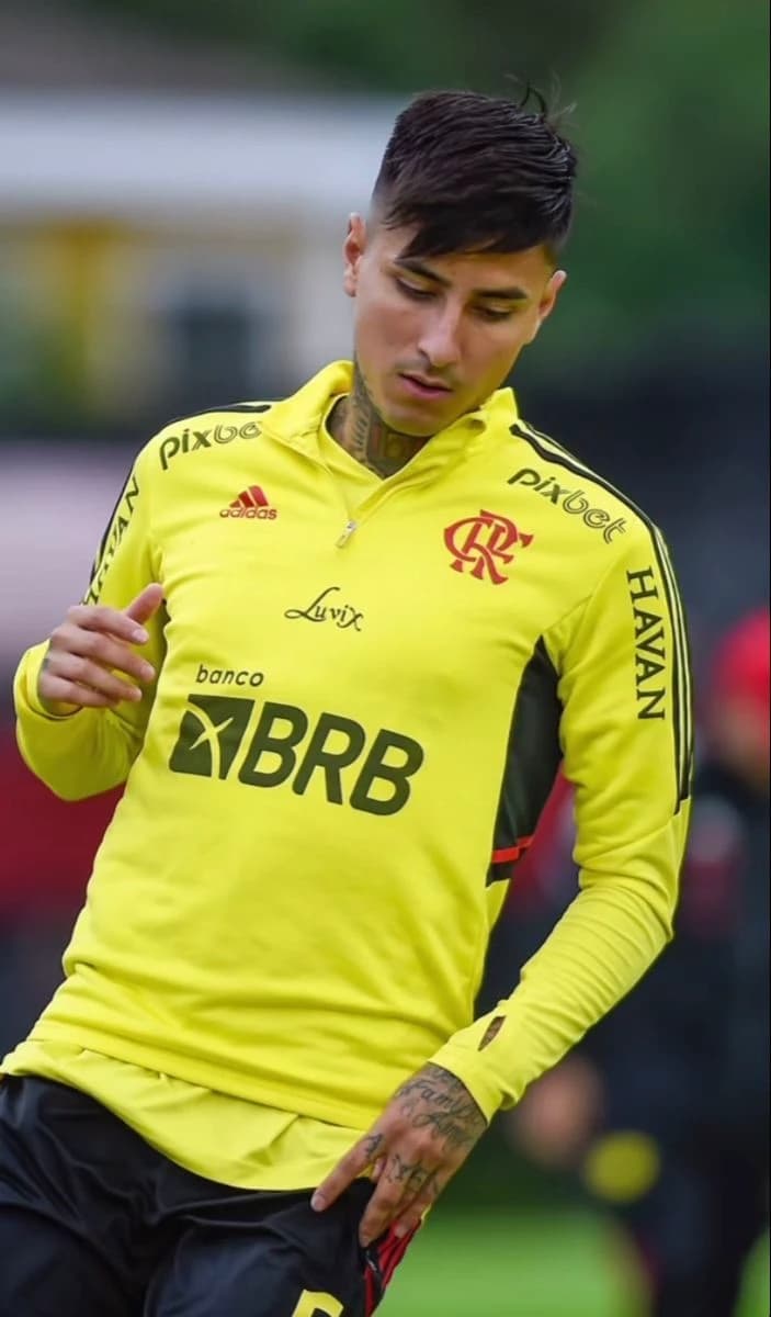 Erick Pulgar thumbnail