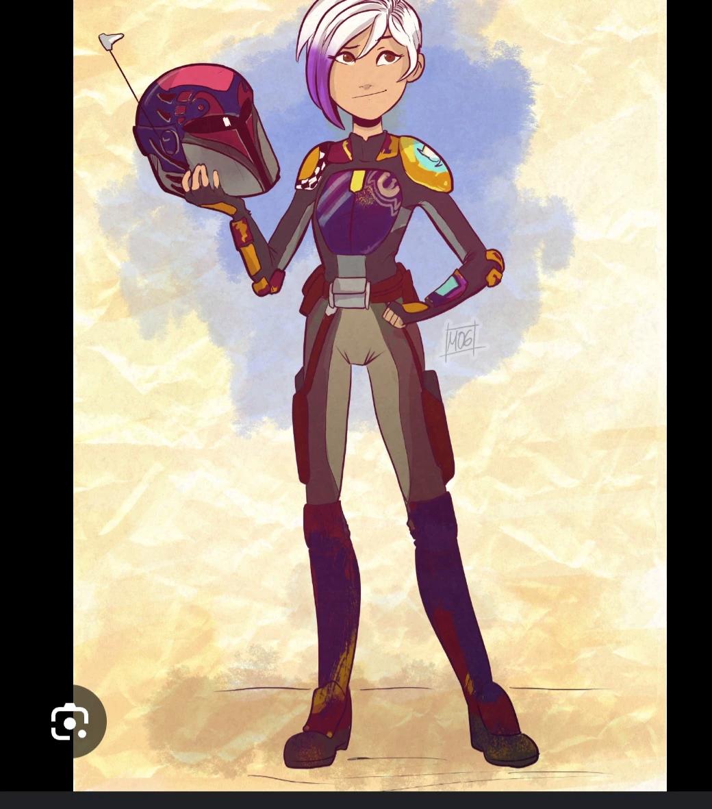 Sabine wren  thumbnail