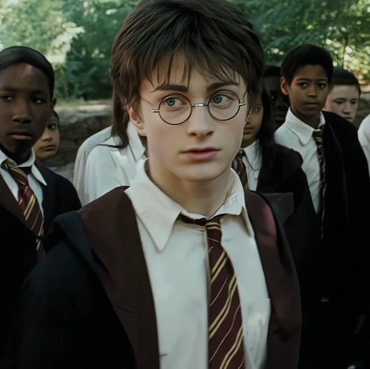 Harry Potter | Damn Fiesta 🕷️ thumbnail
