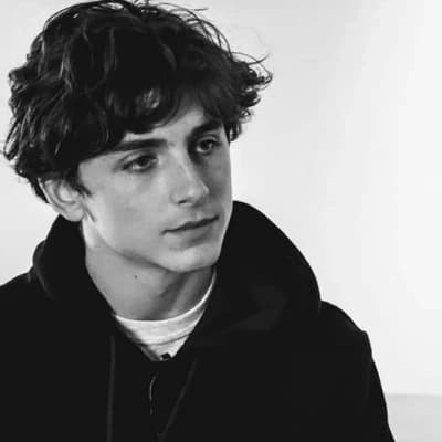timothee chalament thumbnail