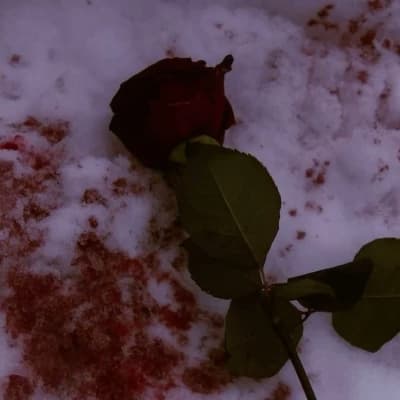 Arthur and (Last Flower) thumbnail
