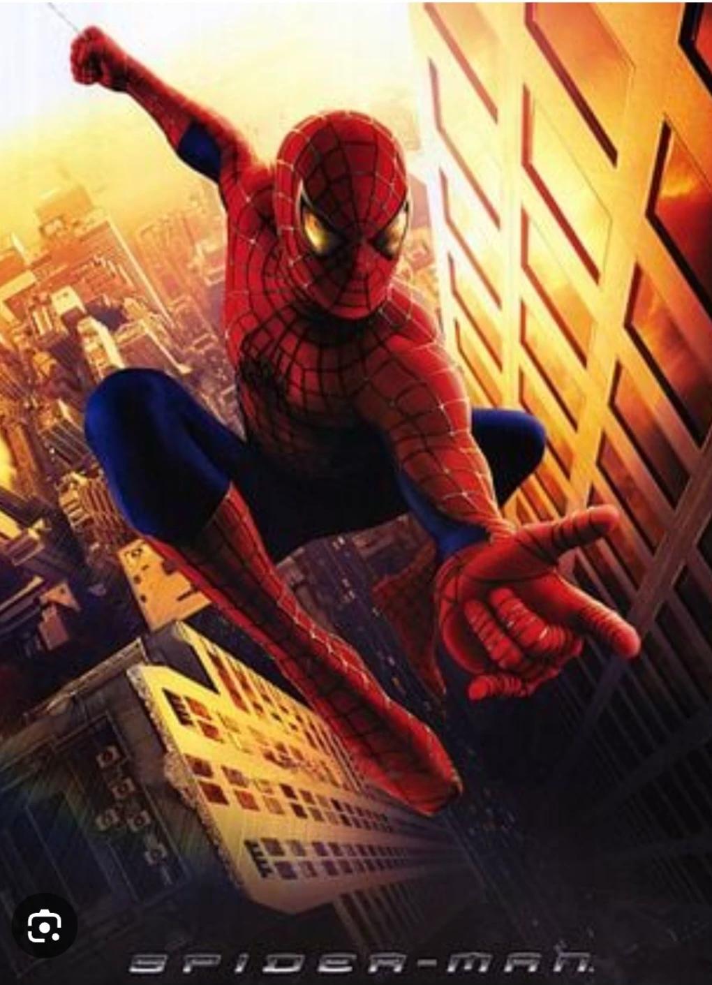 Spiderman with the fly thumbnail