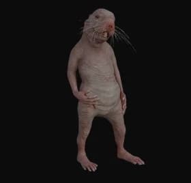Momo thumbnail