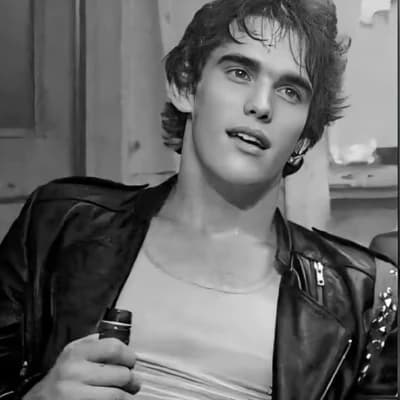 Dallas 'Dally' Winston (The Outsiders) thumbnail