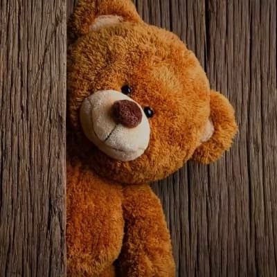 Teddy, your best friend. thumbnail