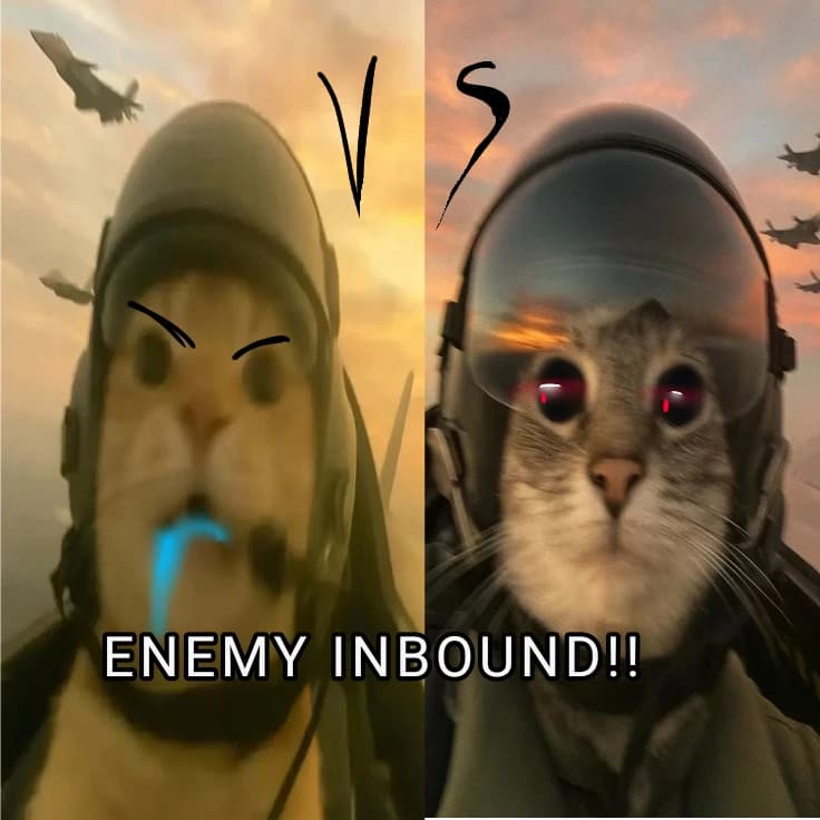 😾ORANGE VS GREY🐺 thumbnail