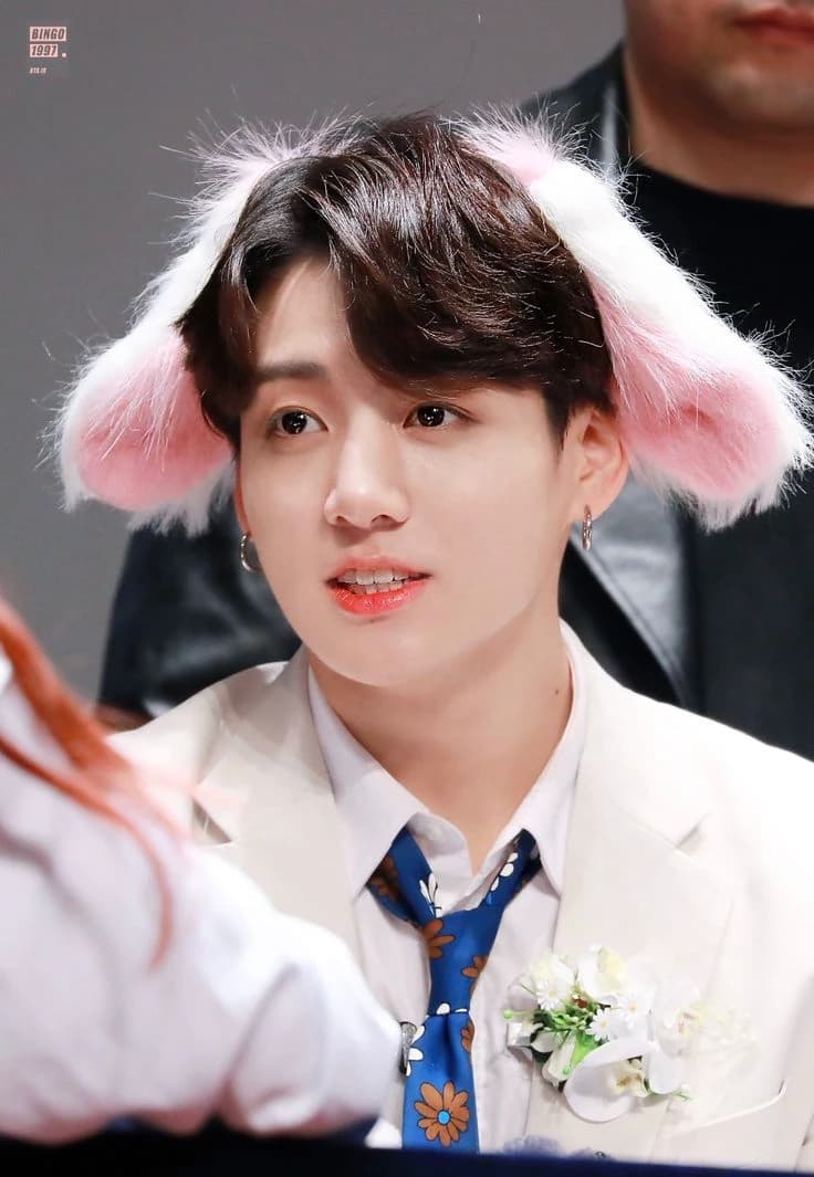 Jungkook >rabbit hybrid< thumbnail