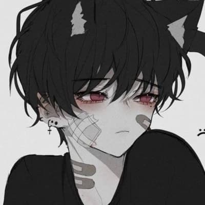 Liamcat hybrid thumbnail