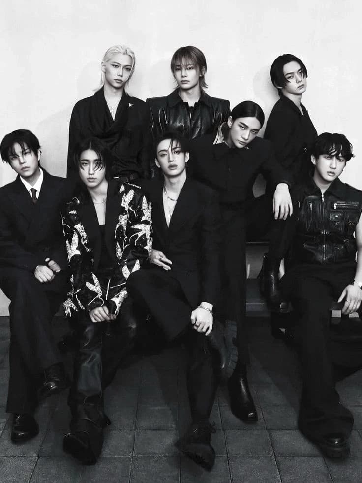 Stray kids (Bangchan , Leeknow , Changbin , Hyunjin,Han,Felix,Seungmi ,Jeongin thumbnail