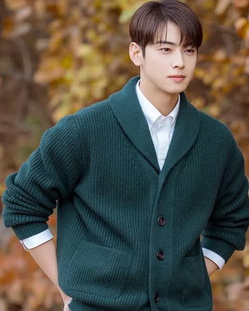 Cha Eun Woo thumbnail