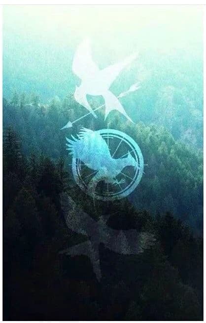 Roleplay hunger games thumbnail