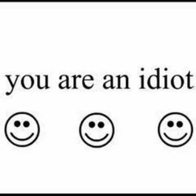 You are an idiot thumbnail
