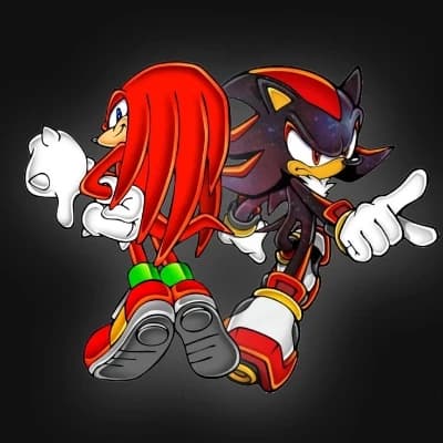 Knuckles & Shadow thumbnail