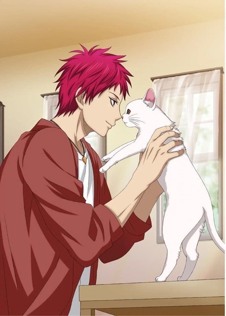 Akashi Seijuro thumbnail