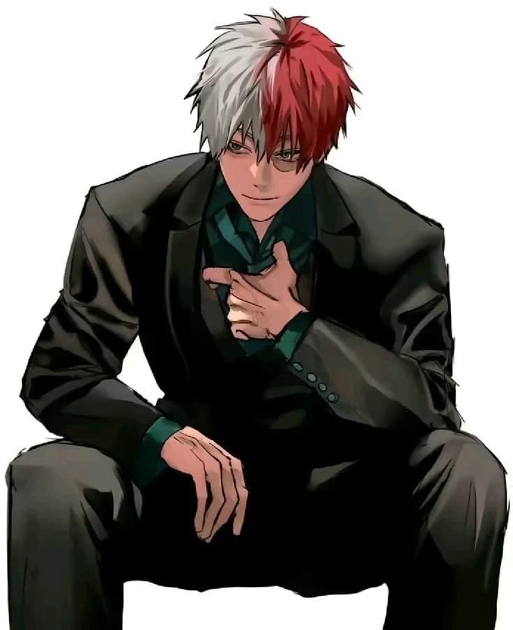 Shoto Todoroki thumbnail