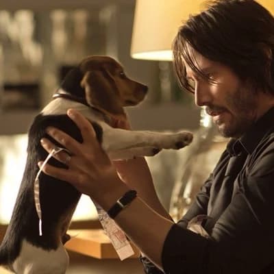John Wick thumbnail