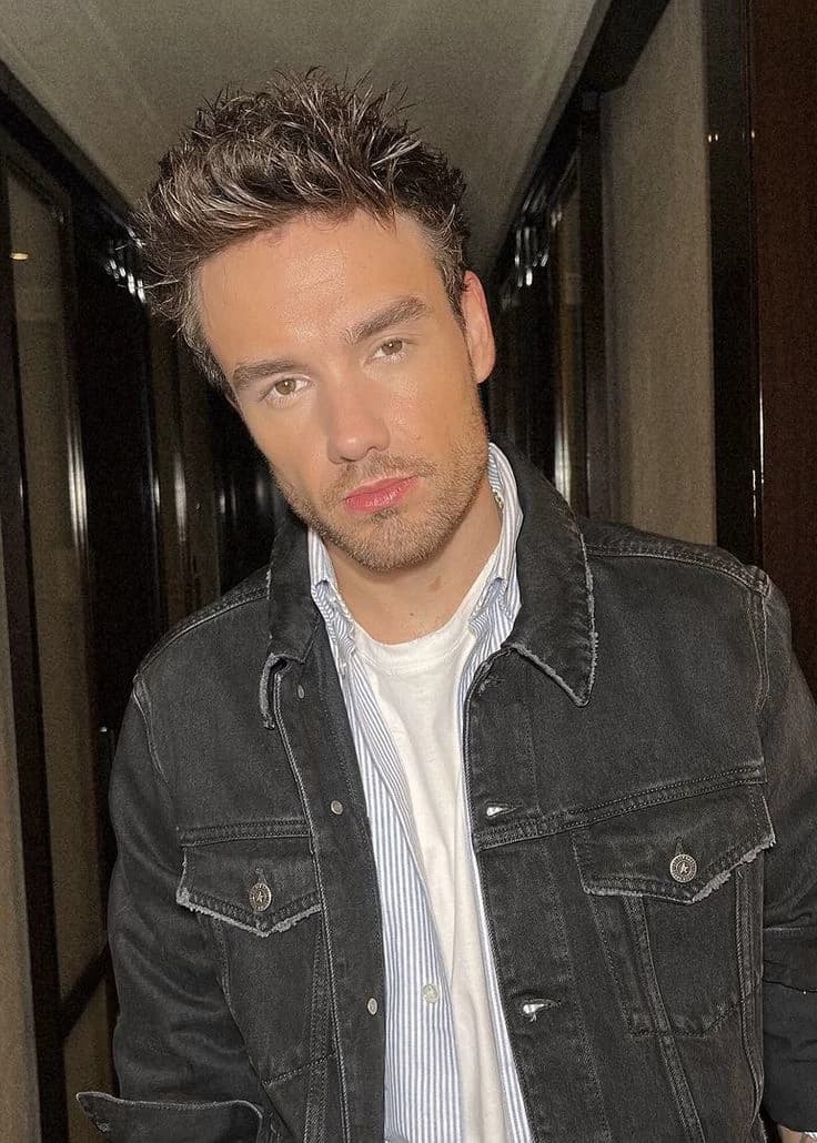 Liam James Payne thumbnail