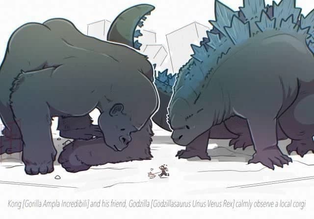 Godzilla e Kong thumbnail