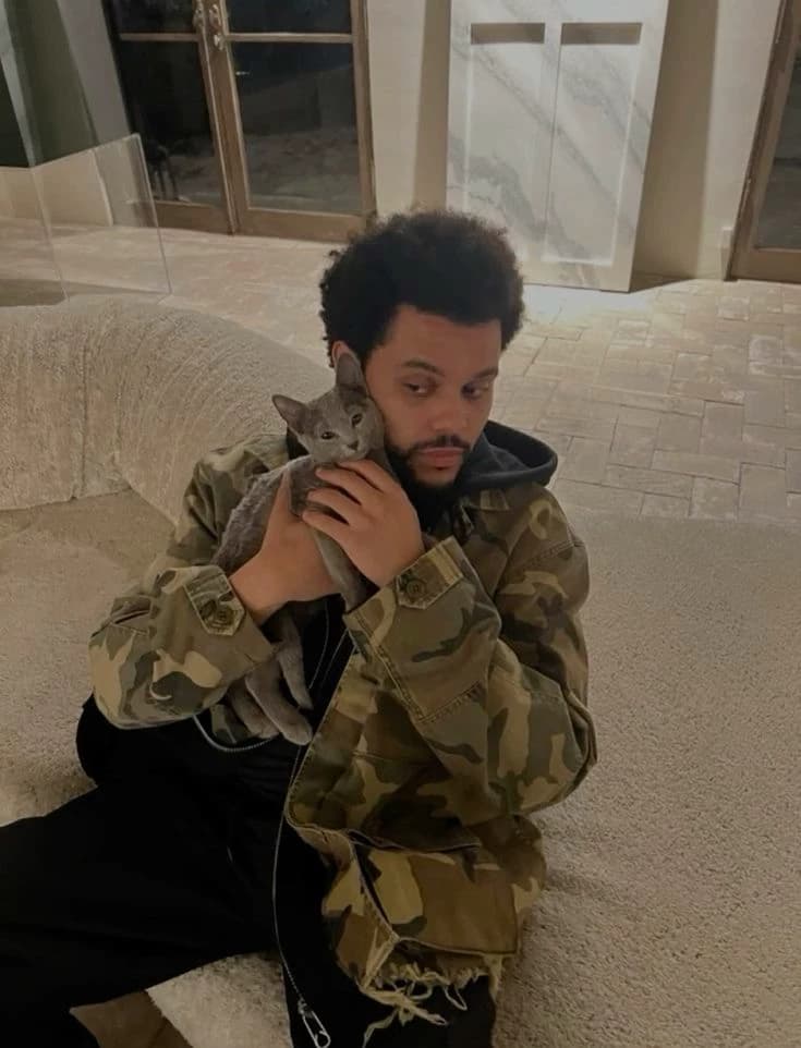 The Weeknd/ Abel Tesfaye thumbnail