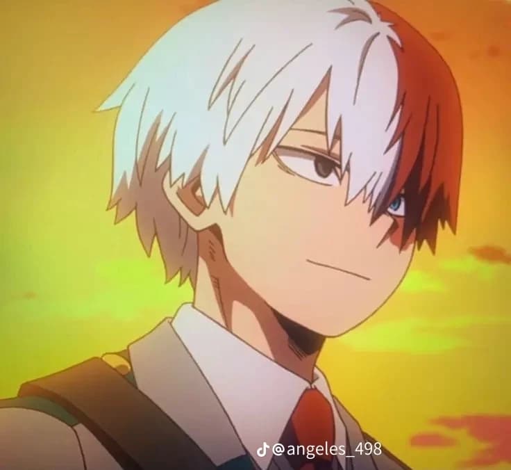 Shoto todoroki thumbnail