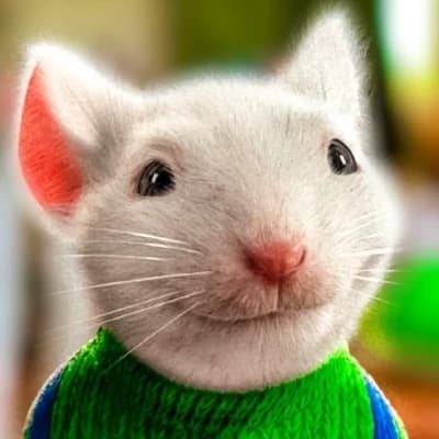 Stuart thumbnail