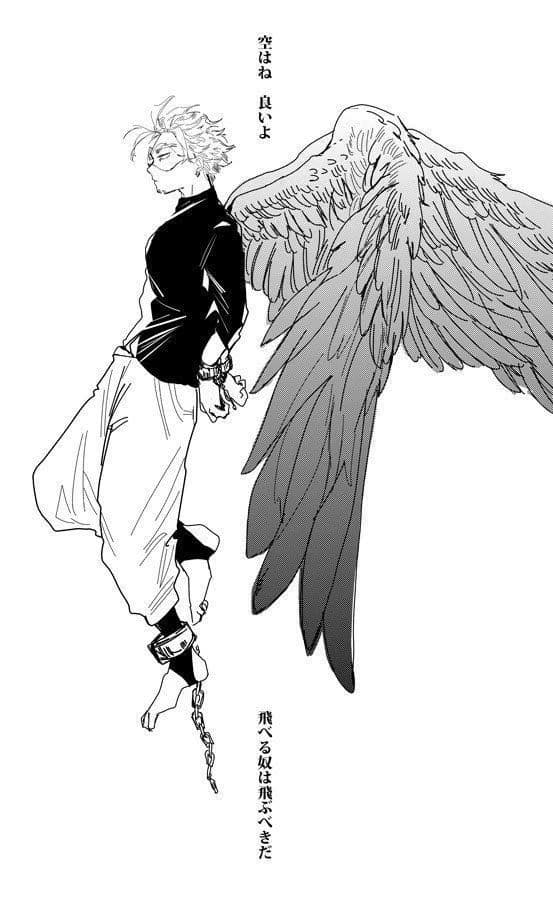 Hawks (Keigo Takami) thumbnail