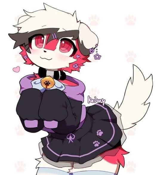 Yuki thumbnail