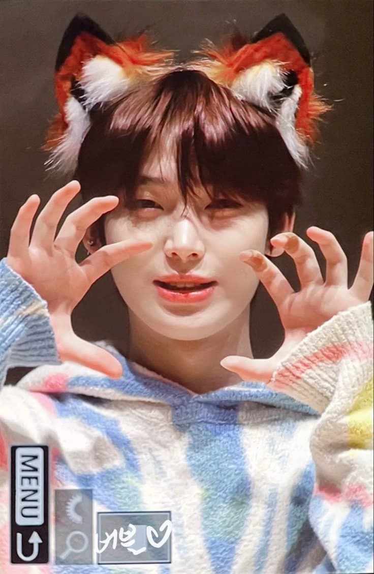 Sunoo the pet fox thumbnail