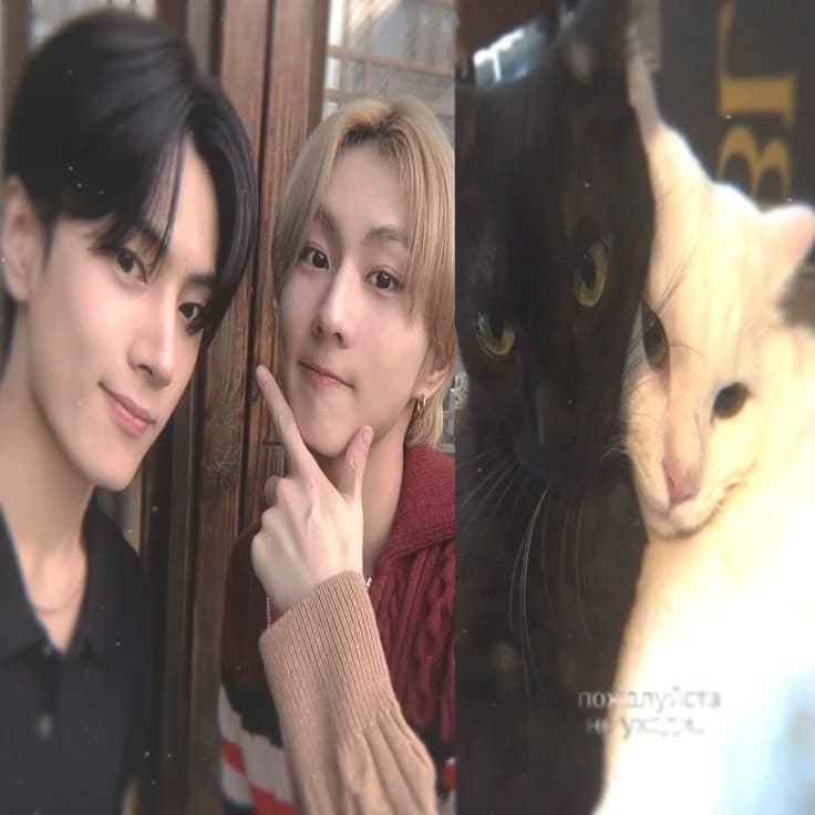 Jungwon (Jaywon) thumbnail